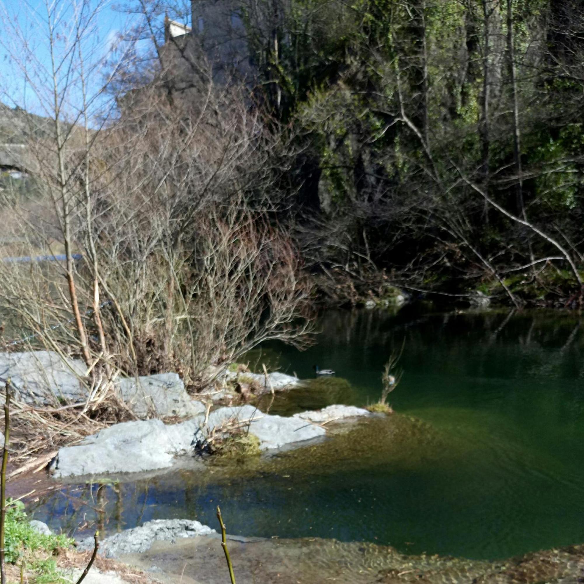 Le Moulin Aux Chandelles 2, Vacances & W-E, Vues Riviere, Montagne & Ville, Tout Confort Deconnecte, Eclairage Bougies, Connexions A 200M Au Centre Le Vigan Gite Les Amoureux De L'Arre, Randonnee Chemin De Saint-Guilhem-Le-Desert, Lire Profil Avant R Buitenkant foto